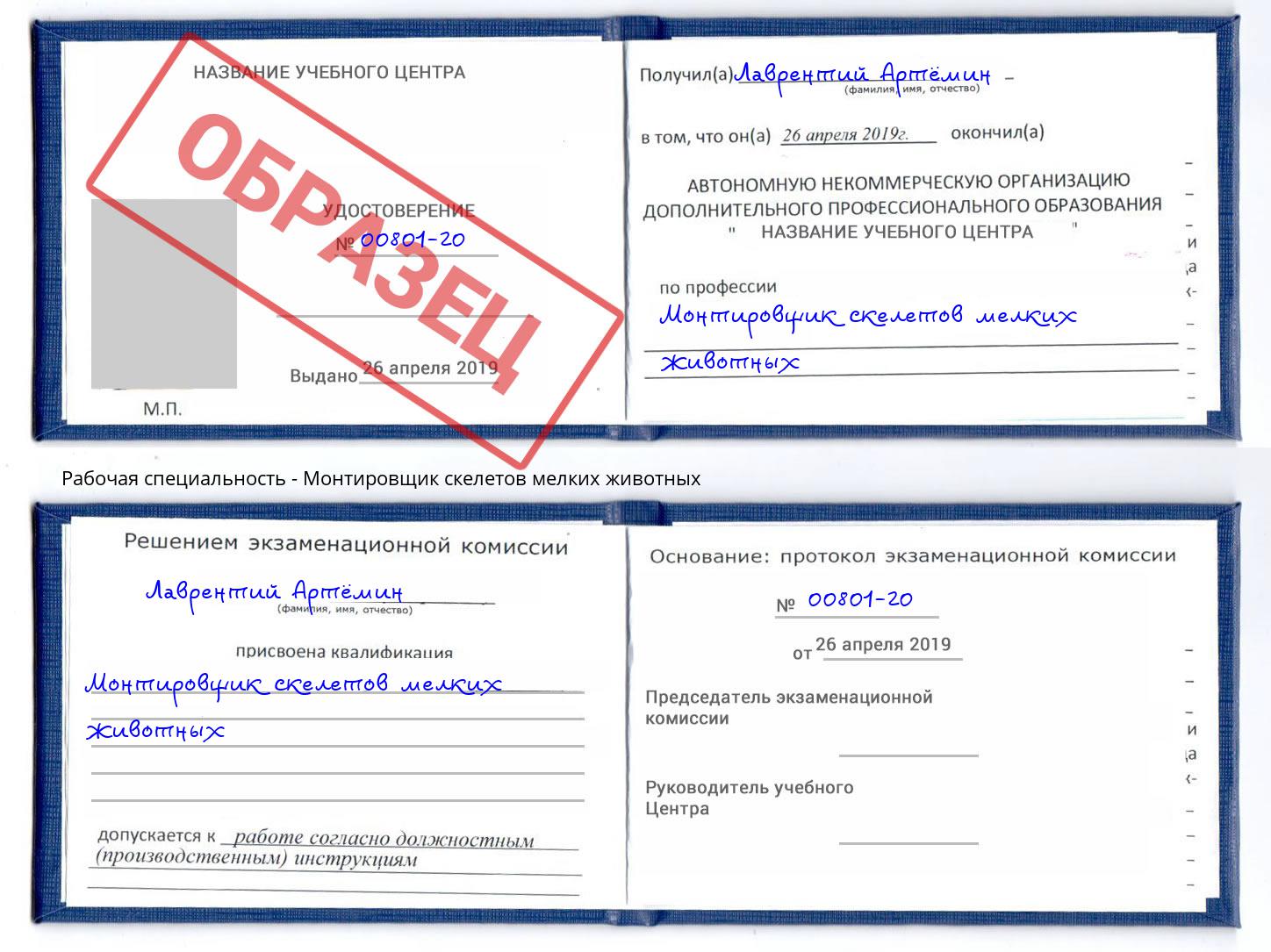 Монтировщик скелетов мелких животных Лысьва